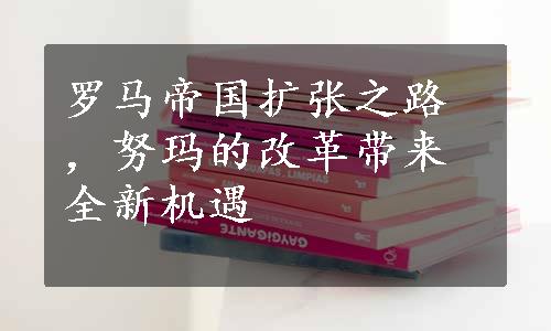 罗马帝国扩张之路，努玛的改革带来全新机遇