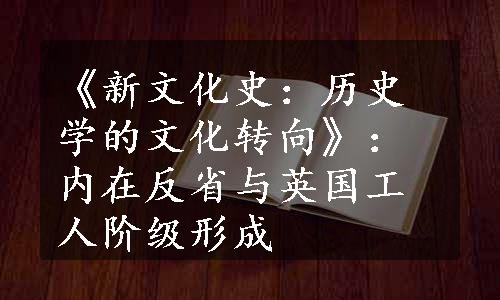 《新文化史：历史学的文化转向》：内在反省与英国工人阶级形成