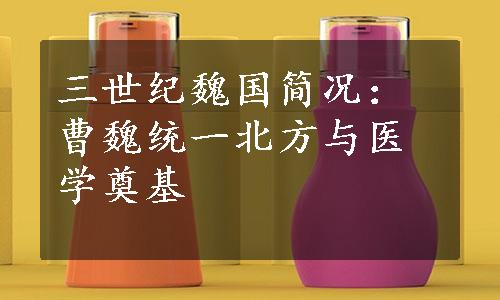 三世纪魏国简况：曹魏统一北方与医学奠基