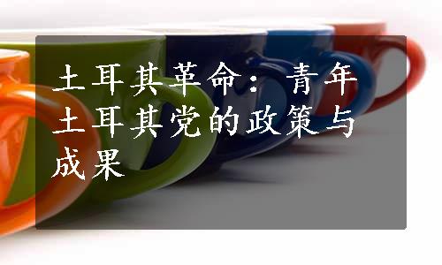 土耳其革命：青年土耳其党的政策与成果