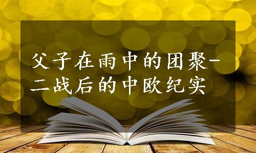 父子在雨中的团聚-二战后的中欧纪实