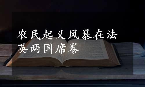 农民起义风暴在法英两国席卷