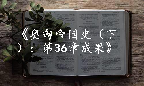 《奥匈帝国史（下）：第36章成果》