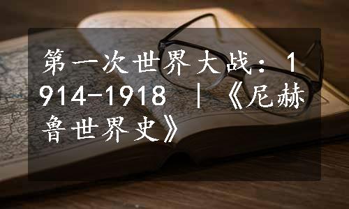 第一次世界大战：1914-1918 ｜《尼赫鲁世界史》