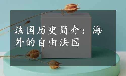 法国历史简介：海外的自由法国