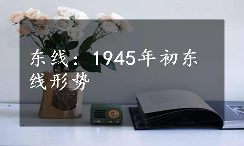 东线：1945年初东线形势