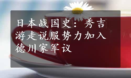 日本战国史：秀吉游走说服势力加入德川家军议