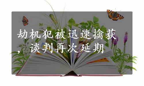 劫机犯被迅速擒获，谈判再次延期