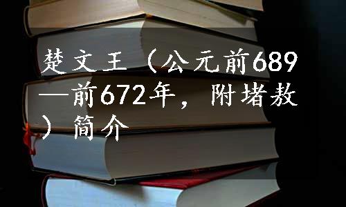 楚文王（公元前689—前672年，附堵敖）简介