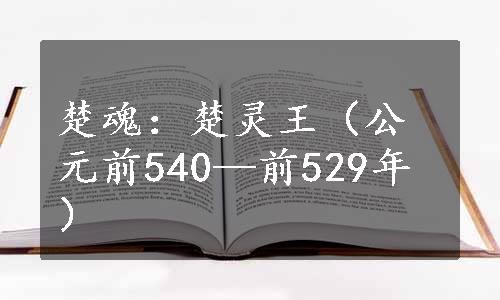 楚魂：楚灵王（公元前540—前529年）