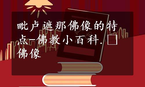 毗卢遮那佛像的特点-佛教小百科. 佛像