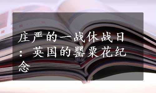 庄严的一战休战日：英国的罂粟花纪念