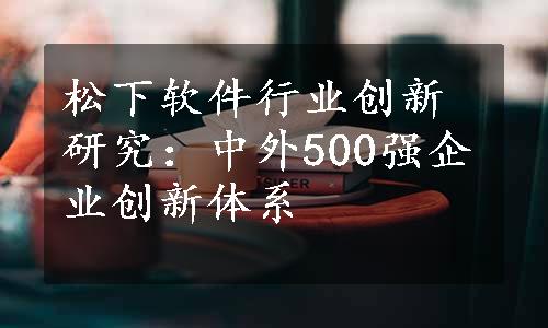 松下软件行业创新研究：中外500强企业创新体系