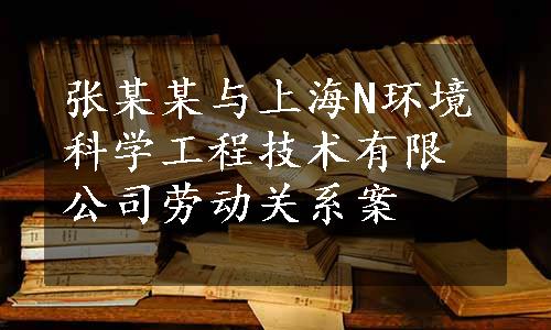 张某某与上海N环境科学工程技术有限公司劳动关系案