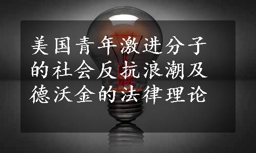 美国青年激进分子的社会反抗浪潮及德沃金的法律理论