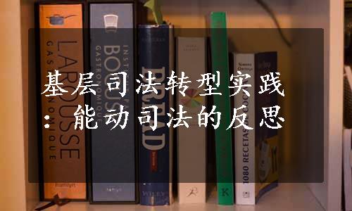 基层司法转型实践：能动司法的反思