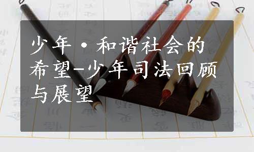 少年·和谐社会的希望-少年司法回顾与展望