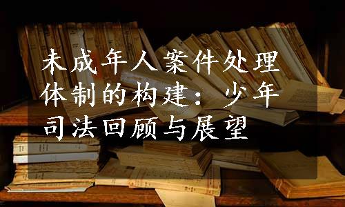 未成年人案件处理体制的构建：少年司法回顾与展望