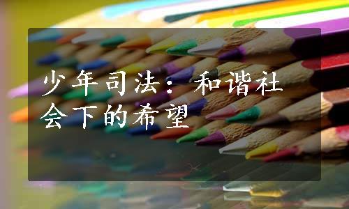 少年司法：和谐社会下的希望