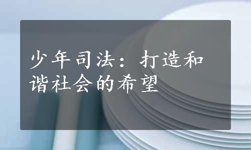 少年司法：打造和谐社会的希望