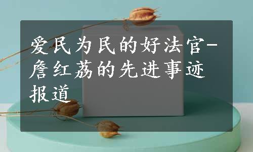 爱民为民的好法官-詹红荔的先进事迹报道