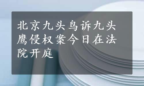 北京九头鸟诉九头鹰侵权案今日在法院开庭