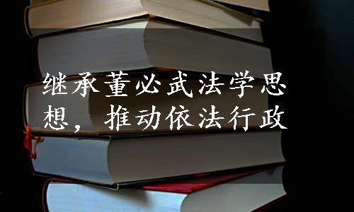 继承董必武法学思想，推动依法行政