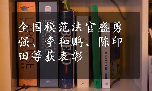 全国模范法官盛勇强、李和鹏、陈印田等获表彰