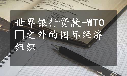 世界银行贷款-WTO 之外的国际经济组织