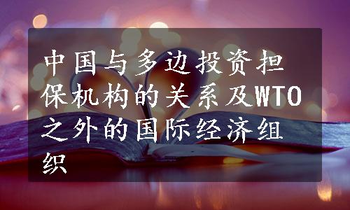 中国与多边投资担保机构的关系及WTO之外的国际经济组织