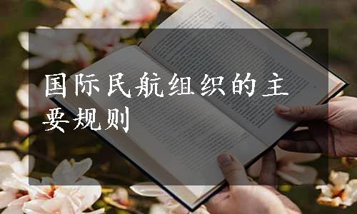 国际民航组织的主要规则