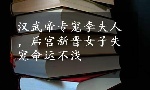 汉武帝专宠李夫人，后宫新晋女子失宠命运不浅