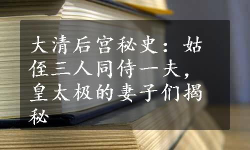 大清后宫秘史：姑侄三人同侍一夫，皇太极的妻子们揭秘