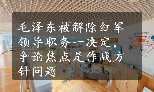 毛泽东被解除红军领导职务一决定，争论焦点是作战方针问题