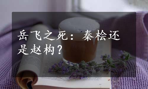 岳飞之死：秦桧还是赵构？