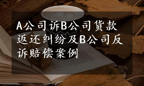 A公司诉B公司货款返还纠纷及B公司反诉赔偿案例