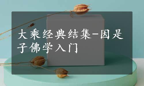 大乘经典结集-因是子佛学入门