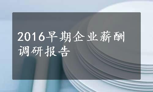 2016早期企业薪酬调研报告