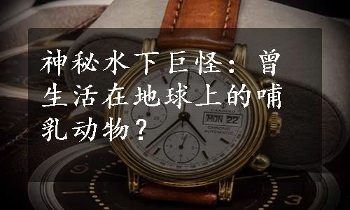 神秘水下巨怪：曾生活在地球上的哺乳动物？