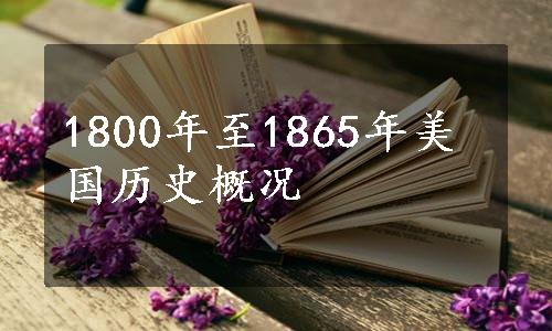 1800年至1865年美国历史概况