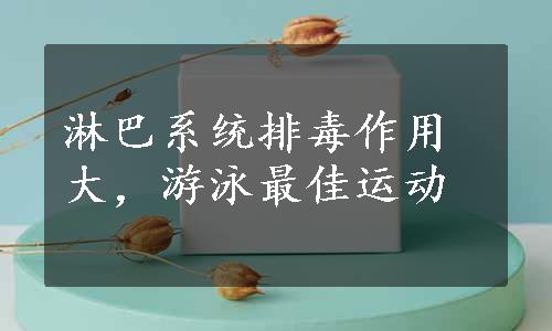 淋巴系统排毒作用大，游泳最佳运动