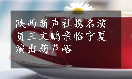 陕西新声社携名演员王文鹏亲临宁夏演出葫芦峪