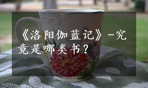 《洛阳伽蓝记》-究竟是哪类书？