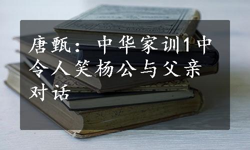 唐甄：中华家训1中令人笑杨公与父亲对话