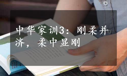 中华家训3：刚柔并济，柔中显刚