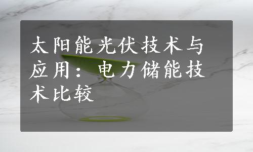 太阳能光伏技术与应用：电力储能技术比较