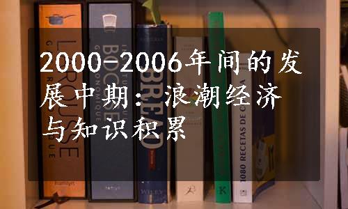 2000-2006年间的发展中期：浪潮经济与知识积累