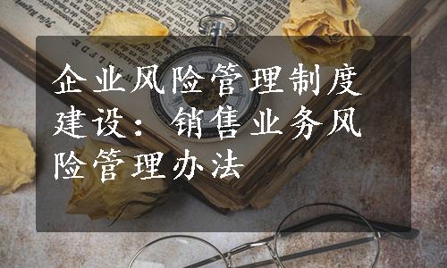 企业风险管理制度建设：销售业务风险管理办法