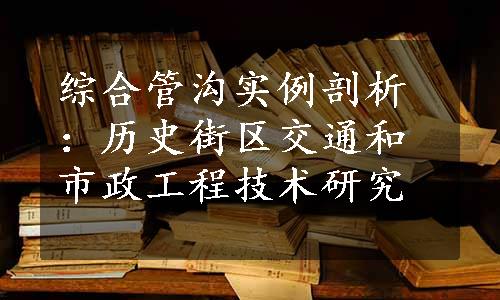 综合管沟实例剖析：历史街区交通和市政工程技术研究