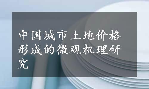 中国城市土地价格形成的微观机理研究